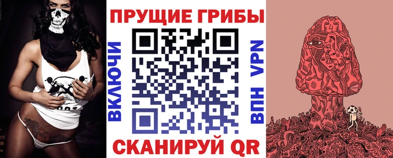 сколько стоит  Елизаветинская  это официальный сайт  Псилоцибиновые грибы MAGIC MUSHROOMS 